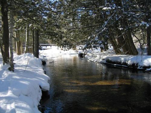 A serene winter scene featuring a snow-covered creek surrounded by trees and a bridge in the background.