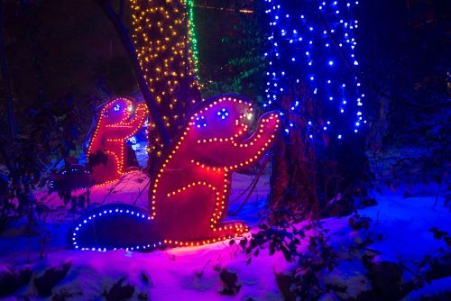 Two illuminated beaver figures adorned with colorful lights, surrounded by snow and trees decorated with bright lights.