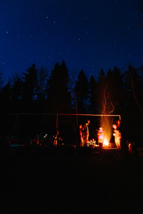 A group of people gathered around a campfire at night, surrounded by trees and a starry sky.
