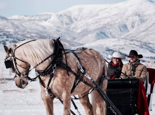 A horse-drawn sleigh with two people dressed in winter attire, surrounded by snowy mountains.