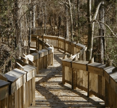 A winding wooden boardwalk surrounded by trees in a natural setting.