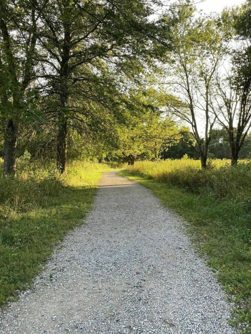A gravel path winds through a lush green landscape, flanked by trees and tall grass under a clear sky.