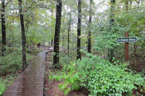 A wooden path leads through a lush, green forest with a sign pointing to the "Deer Pen."