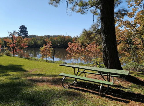 A green picnic table by a calm lake surrounded by colorful autumn trees under a clear blue sky.