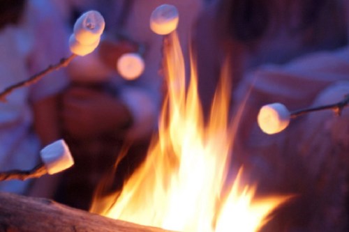 Marshmallows on sticks roasting over a vibrant campfire, with warm flames and a blurred background of people.