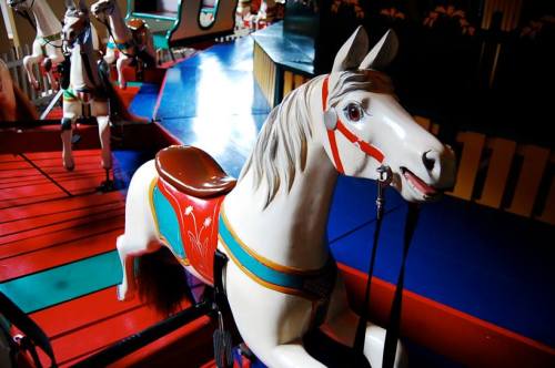 A close-up of a colorful carousel horse with a shiny white coat and decorative saddle, set against a vibrant background.