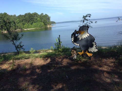 A cartoon eagle stands by a lake, surrounded by trees and a clear blue sky, with water in the background.