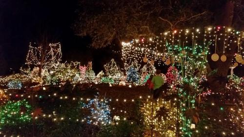 A beautifully lit garden at night, adorned with colorful Christmas lights and festive decorations.