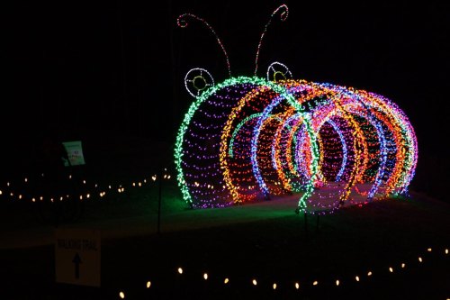 A colorful, illuminated caterpillar made of lights, set against a dark background, with a sign pointing to a trail.