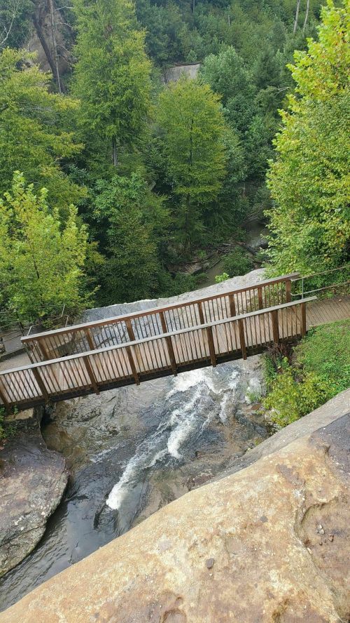A wooden bridge spans a rocky stream surrounded by lush green trees and foliage.
