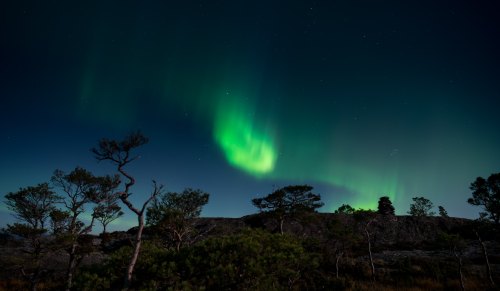 A vibrant green aurora borealis dances in the night sky above silhouetted trees and rocky terrain.