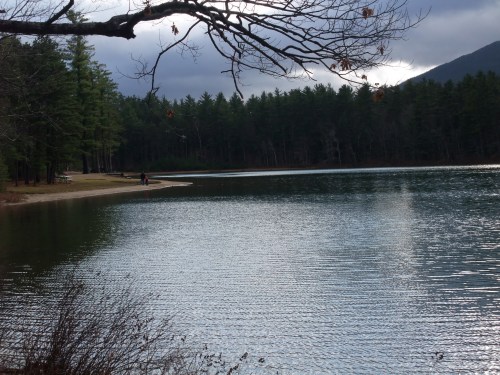 A serene lake surrounded by trees, with a person walking along the shore under a cloudy sky.