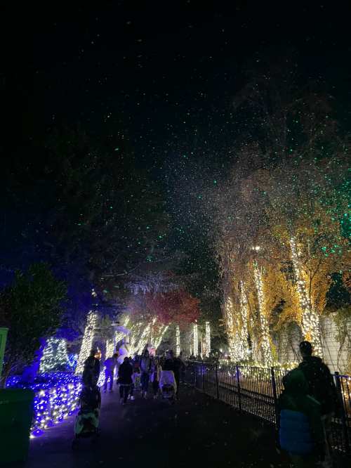 A festive night scene with people walking under twinkling lights and artificial snow falling among trees.