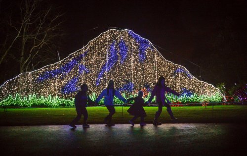 Four children hold hands in front of a large, illuminated mountain display with colorful lights at night.