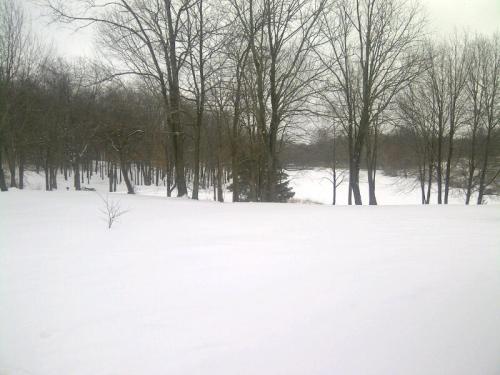 A snowy landscape with bare trees and a frozen lake in the background, creating a serene winter scene.