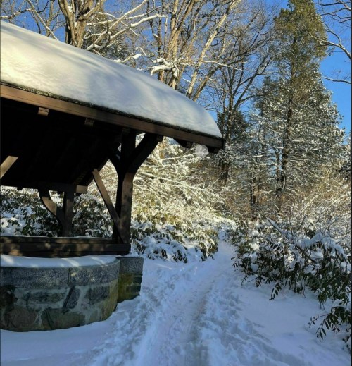 A snowy path leads through a winter landscape, with a wooden shelter and trees covered in snow.