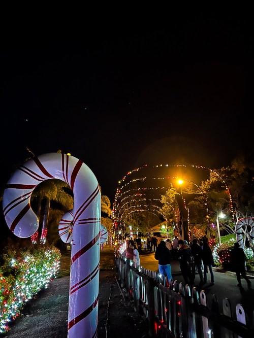 A festive night scene with candy cane decorations and colorful lights, people walking along a illuminated path.