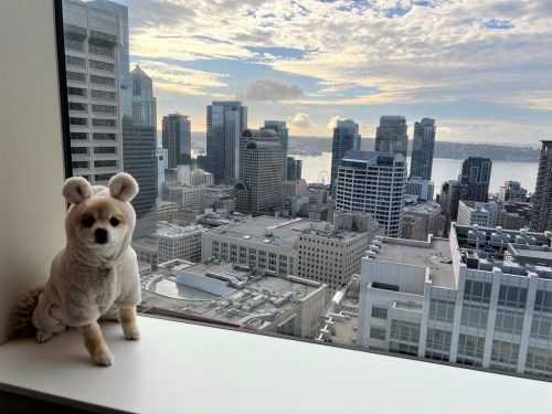 A small dog in a cozy outfit sits on a windowsill, overlooking a city skyline with a cloudy sky.