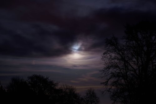 A dark, moody sky with clouds partially obscuring a bright moon, silhouetted trees in the foreground.