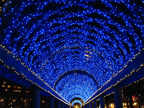 A tunnel of blue lights creates a dazzling canopy overhead, illuminating a pathway below.