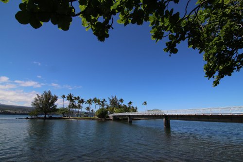A serene view of a bridge over calm water, surrounded by palm trees and a clear blue sky.