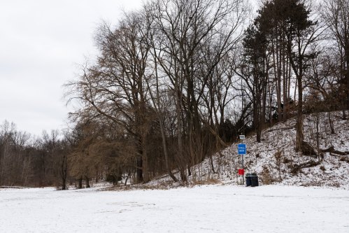 A snowy landscape with bare trees, a blue sign, and a trash bin near a hill in a park.