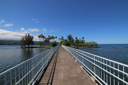 A long walkway leads to a lush island, surrounded by calm water and palm trees under a clear blue sky.