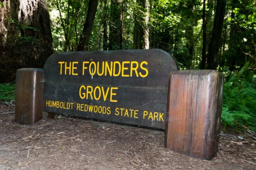 Sign for Founders Grove in Humboldt Redwoods State Park, surrounded by lush greenery and towering trees.