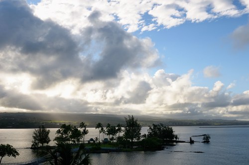 A serene coastal scene with palm trees, calm water, and dramatic clouds under a blue sky.