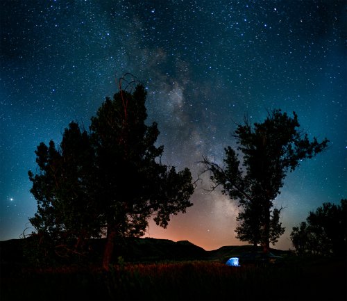A starry night sky filled with the Milky Way, framed by silhouetted trees and a distant landscape.