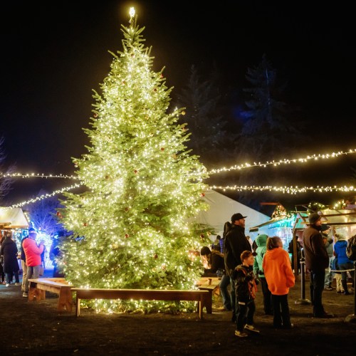 A brightly lit Christmas tree stands in a festive outdoor setting with people enjoying the holiday atmosphere at night.