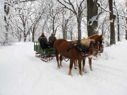 Two people sit in a horse-drawn sleigh on a snowy path, surrounded by trees covered in snow.