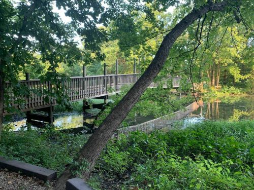 A wooden bridge crosses a calm pond, surrounded by lush greenery and trees reflecting in the water.