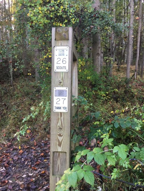 Wooden post in a forest with signs labeled "26 SCOUTS" and "27 THANK YOU," surrounded by greenery and fallen leaves.