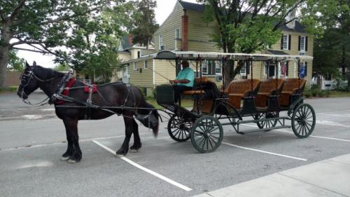 A horse-drawn carriage parked on a street, with a driver seated in the carriage and trees in the background.