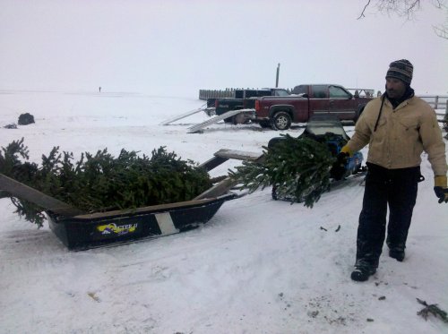 A man pulls a sled with evergreen trees through a snowy landscape, with a truck parked in the background.