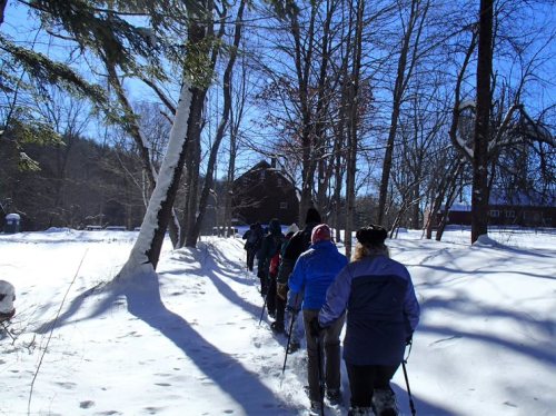 A group of hikers walks through a snowy landscape, surrounded by trees and a cabin in the background under a clear blue sky.
