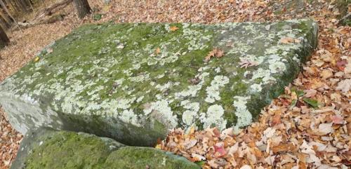 A large, moss-covered stone surrounded by fallen autumn leaves in a wooded area.