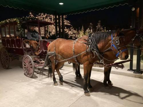 A horse-drawn carriage parked under festive lights, with a driver seated in the carriage.