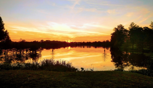 A serene sunset over a calm lake, reflecting vibrant orange and yellow hues, surrounded by trees.