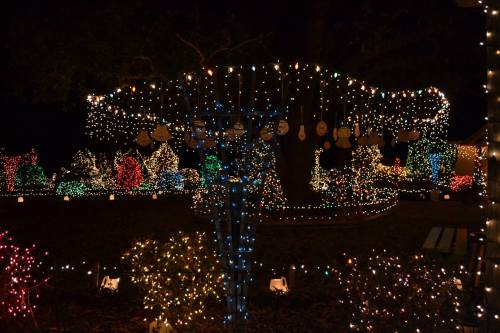 A festive display of colorful holiday lights illuminating trees and decorations in a dark garden setting.