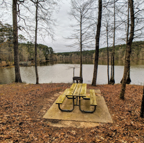 A picnic table by a calm lake, surrounded by bare trees and a cloudy sky.