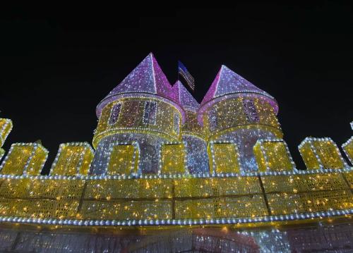 A brightly lit castle with pink and white lights, set against a dark night sky.