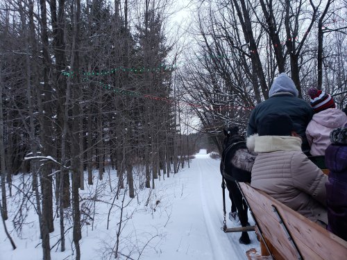 A snowy path through trees, with people riding in a horse-drawn sleigh decorated with colorful lights.