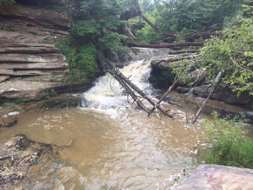 A small waterfall cascades over rocky terrain, surrounded by lush greenery and fallen trees.