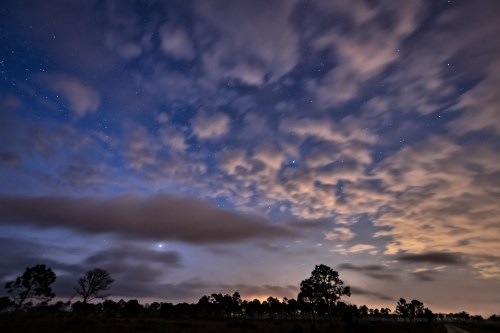 A twilight sky filled with clouds and stars, with silhouettes of trees in the foreground.