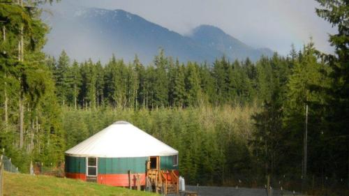 A colorful yurt nestled in a forest, with mountains in the background and misty clouds above.