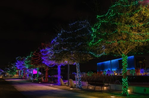 Colorful trees adorned with vibrant lights line a pathway at night, creating a festive atmosphere.