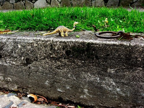 A small dinosaur toy stands on a concrete edge, surrounded by grass and debris.