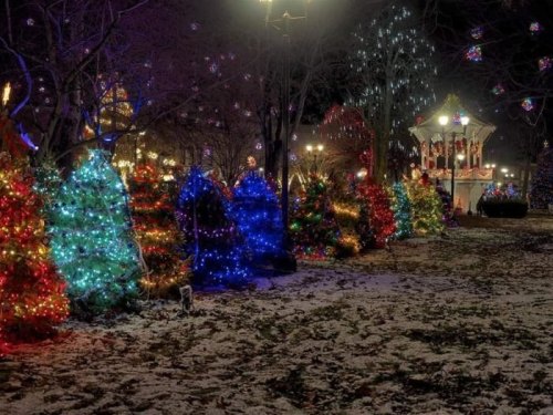 Colorful Christmas lights illuminate trees in a snowy park, with a festive gazebo in the background.